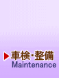 ԌE- Maintenance